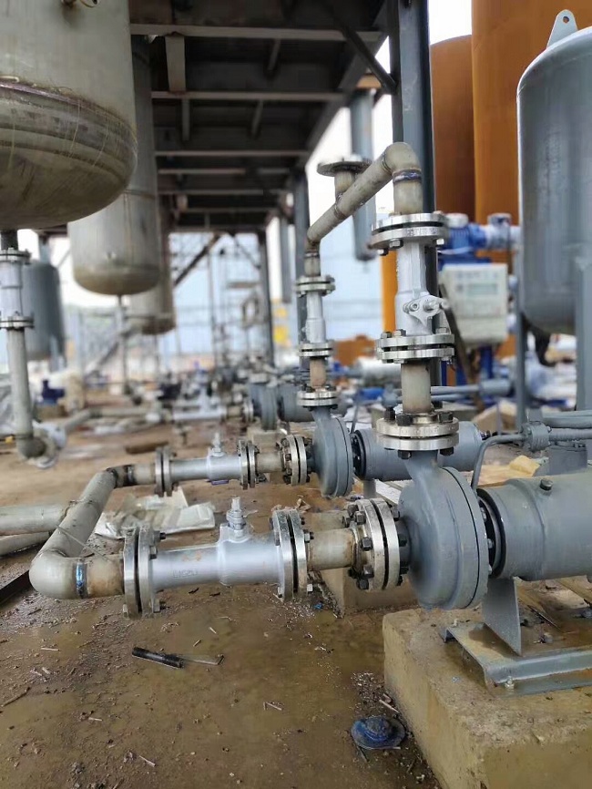 1576546110366499.jpg 15.jpg